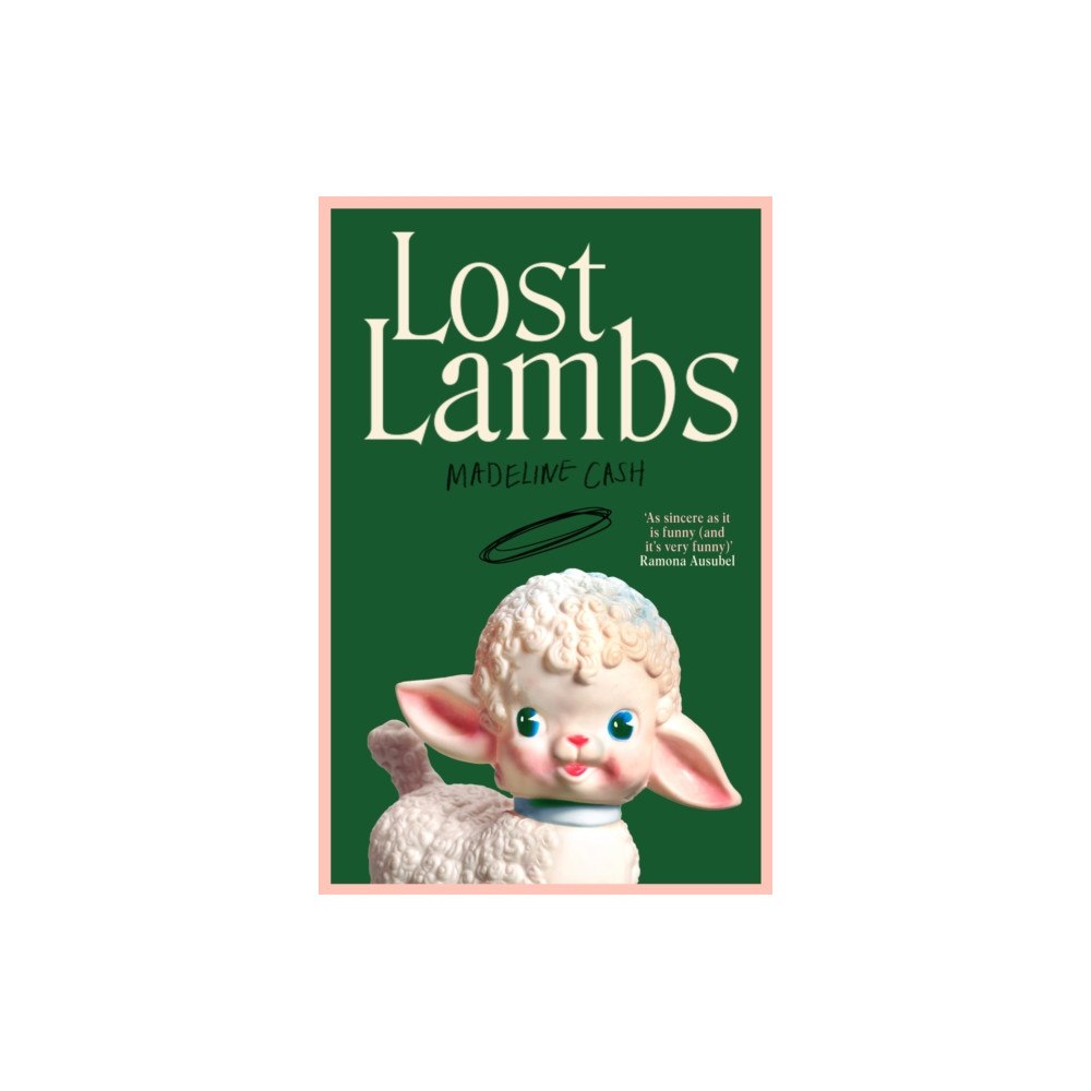 Transworld publishers ltd Lost Lambs (inbunden, eng)