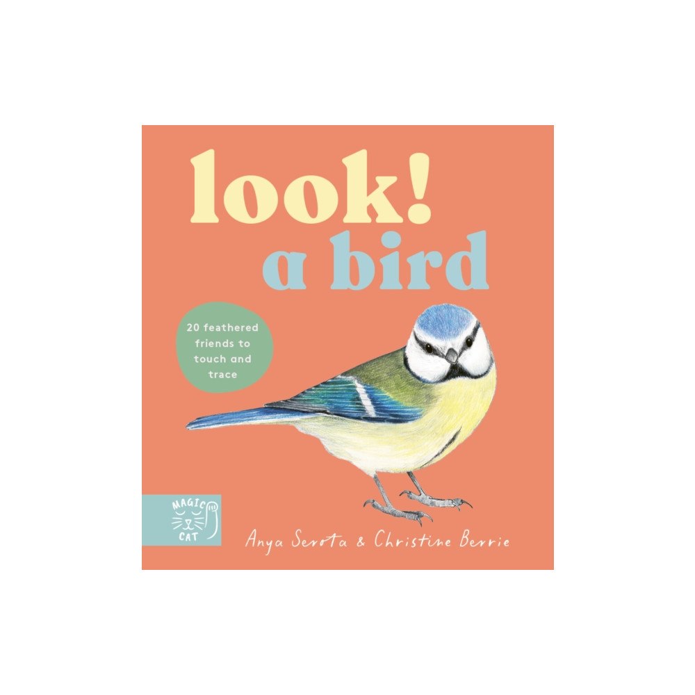 Magic Cat Publishing Look! A Bird! (bok, board book, eng)