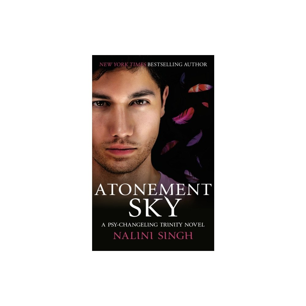 Orion Publishing Co Atonement Sky (häftad, eng)