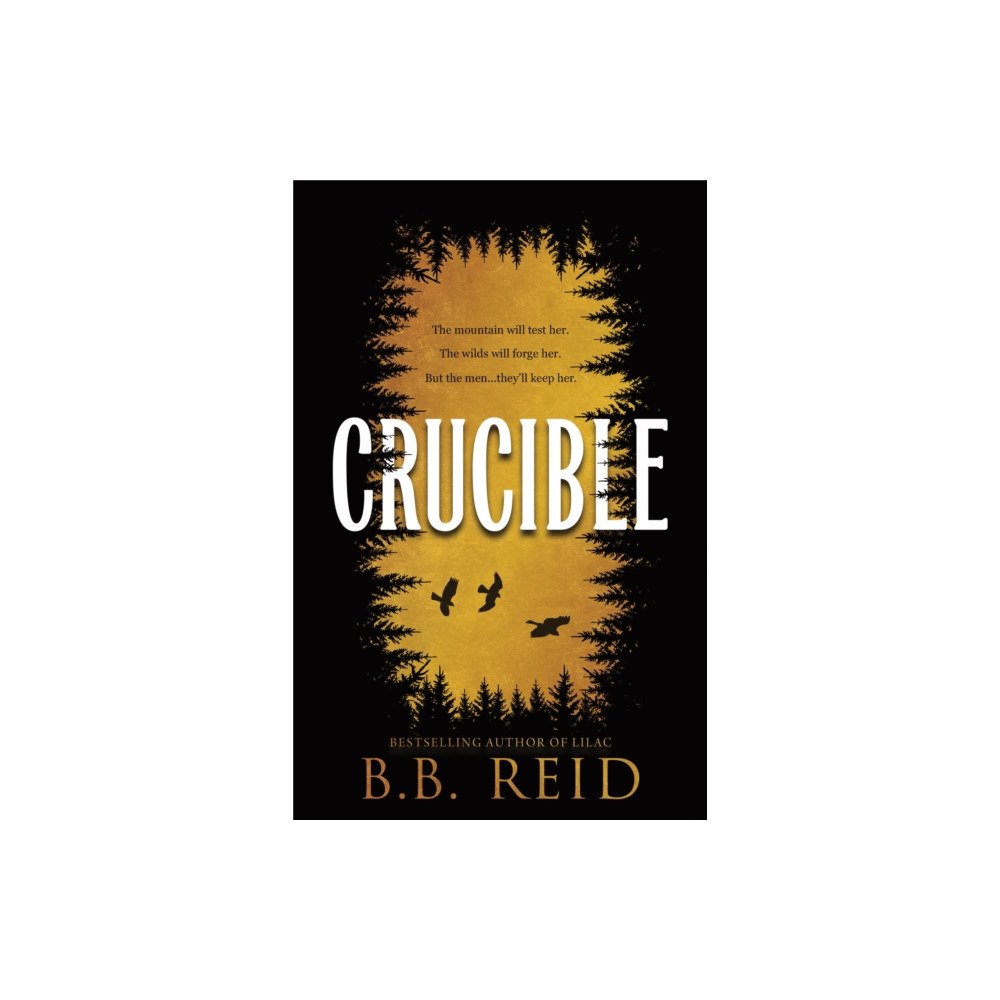 Sourcebooks, Inc Crucible (häftad, eng)