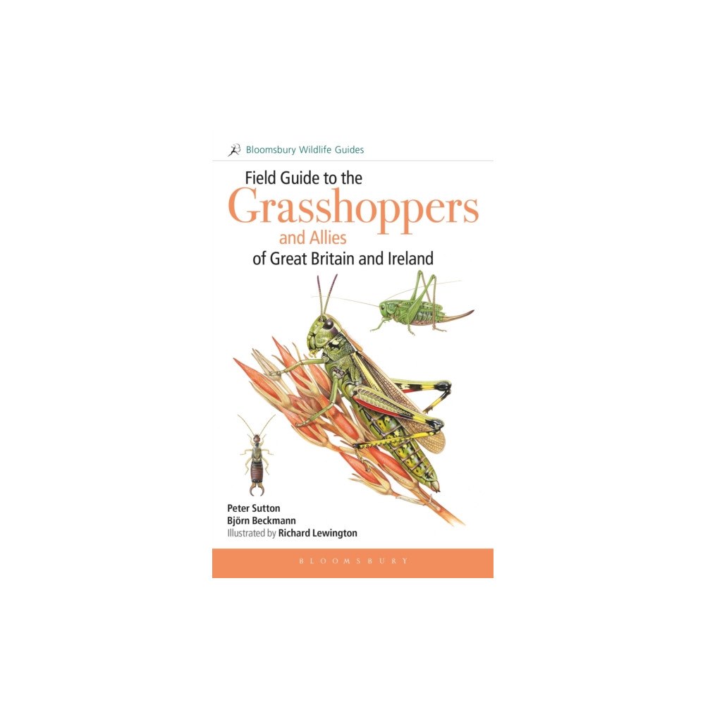 Bloomsbury Publishing PLC Field Guide to the Grasshoppers and Allies of Great Britain and Ireland (häftad, eng)