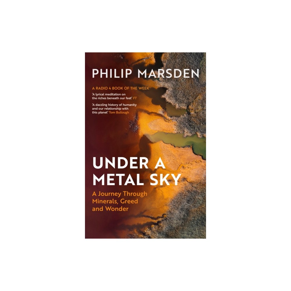Granta Books Under a Metal Sky (häftad, eng)