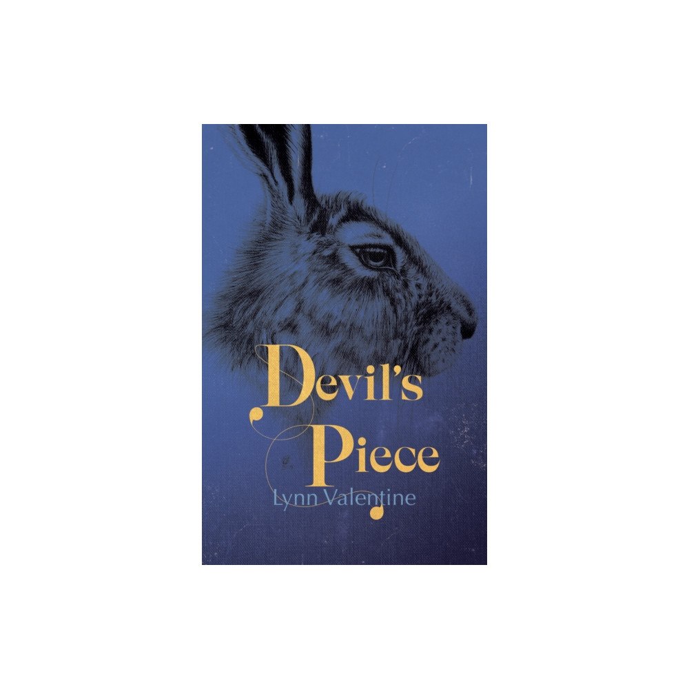 Cinnamon Press Devil's Piece (häftad, eng)