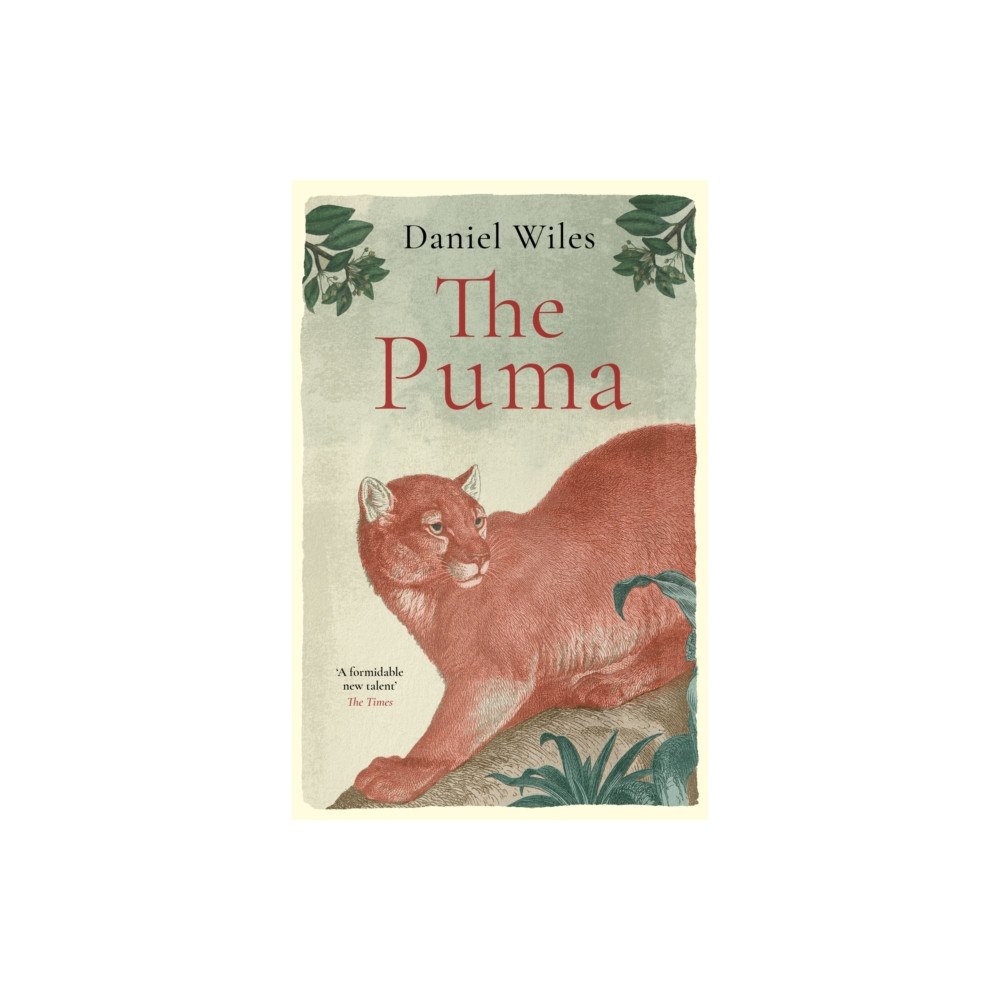 Swift Press The Puma (inbunden, eng)