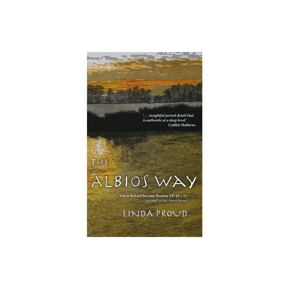 The Godstow Press The Albios Way (häftad, eng)