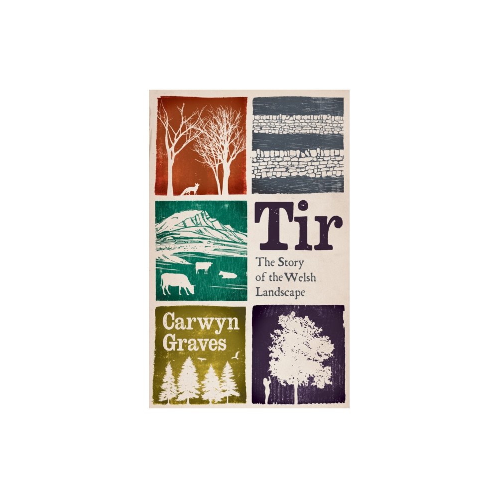 University of wales press Tir (häftad, eng)