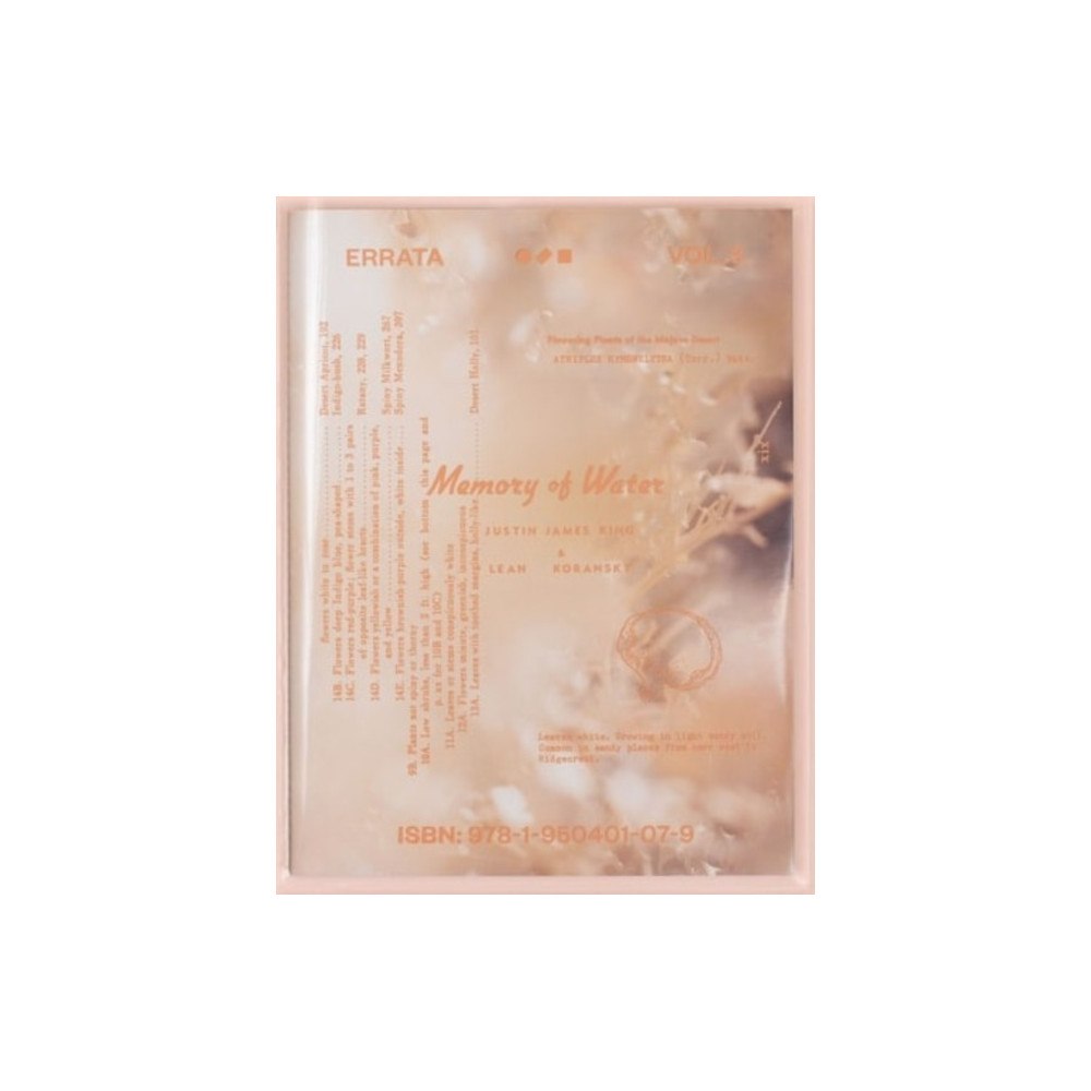 Conveyor Editions Errata Vol 3 (häftad, eng)