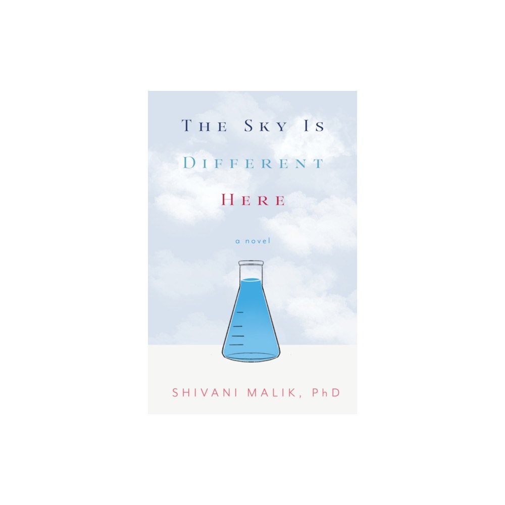 She Writes Press The Sky is Different Here (häftad, eng)