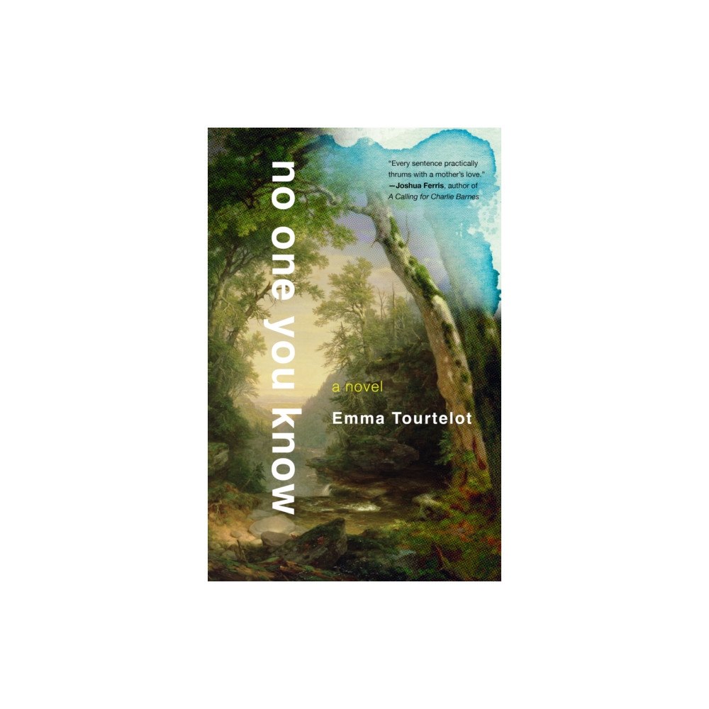 She Writes Press No One You Know (häftad, eng)