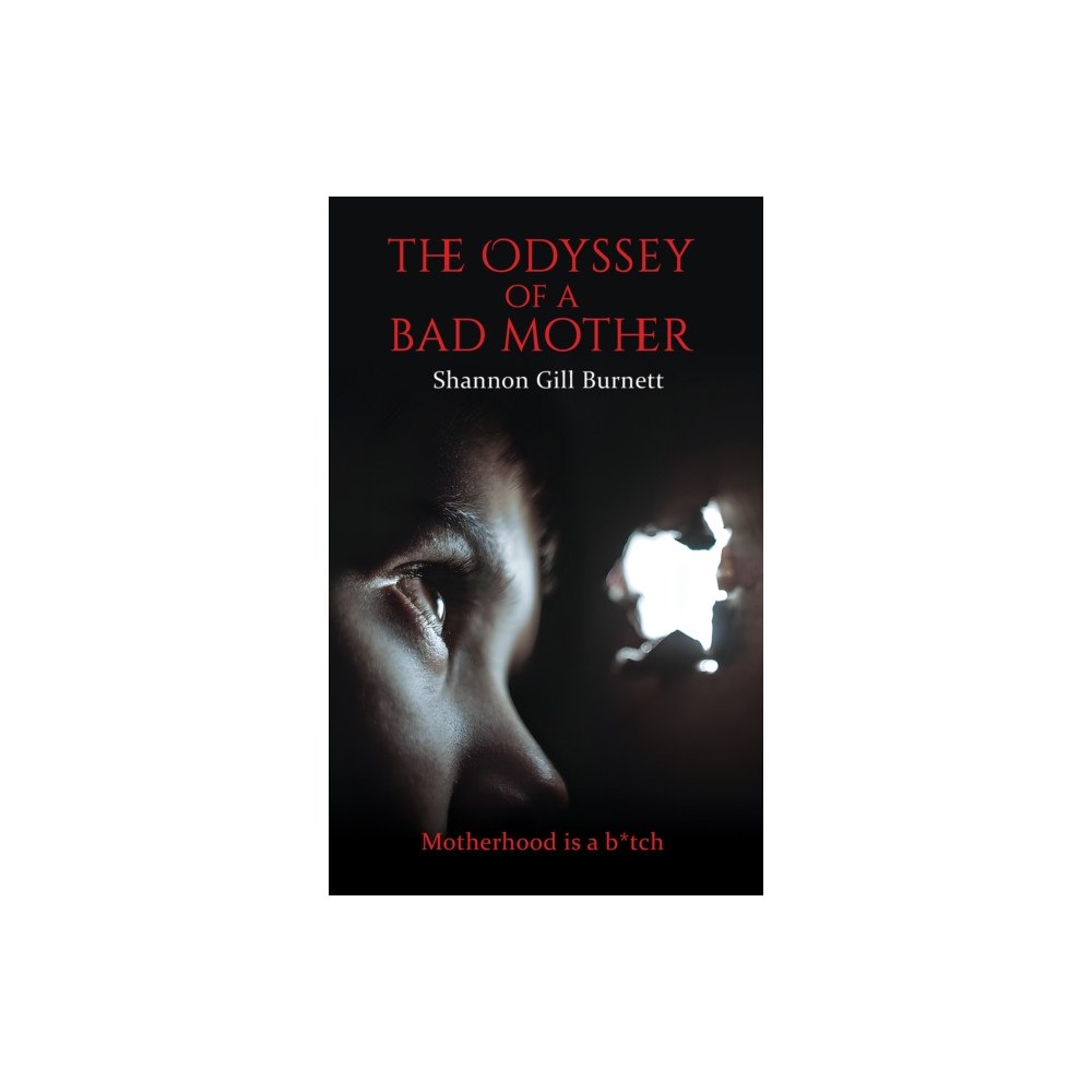 Austin Macauley Publishers LLC The Odyssey of a Bad Mother (häftad, eng)