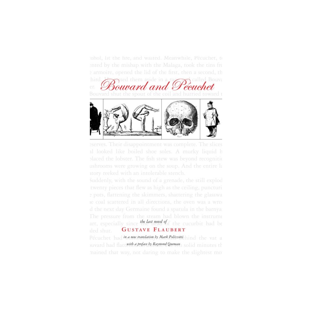 Dalkey Archive Press Bouvard and Pecuchet (häftad, eng)