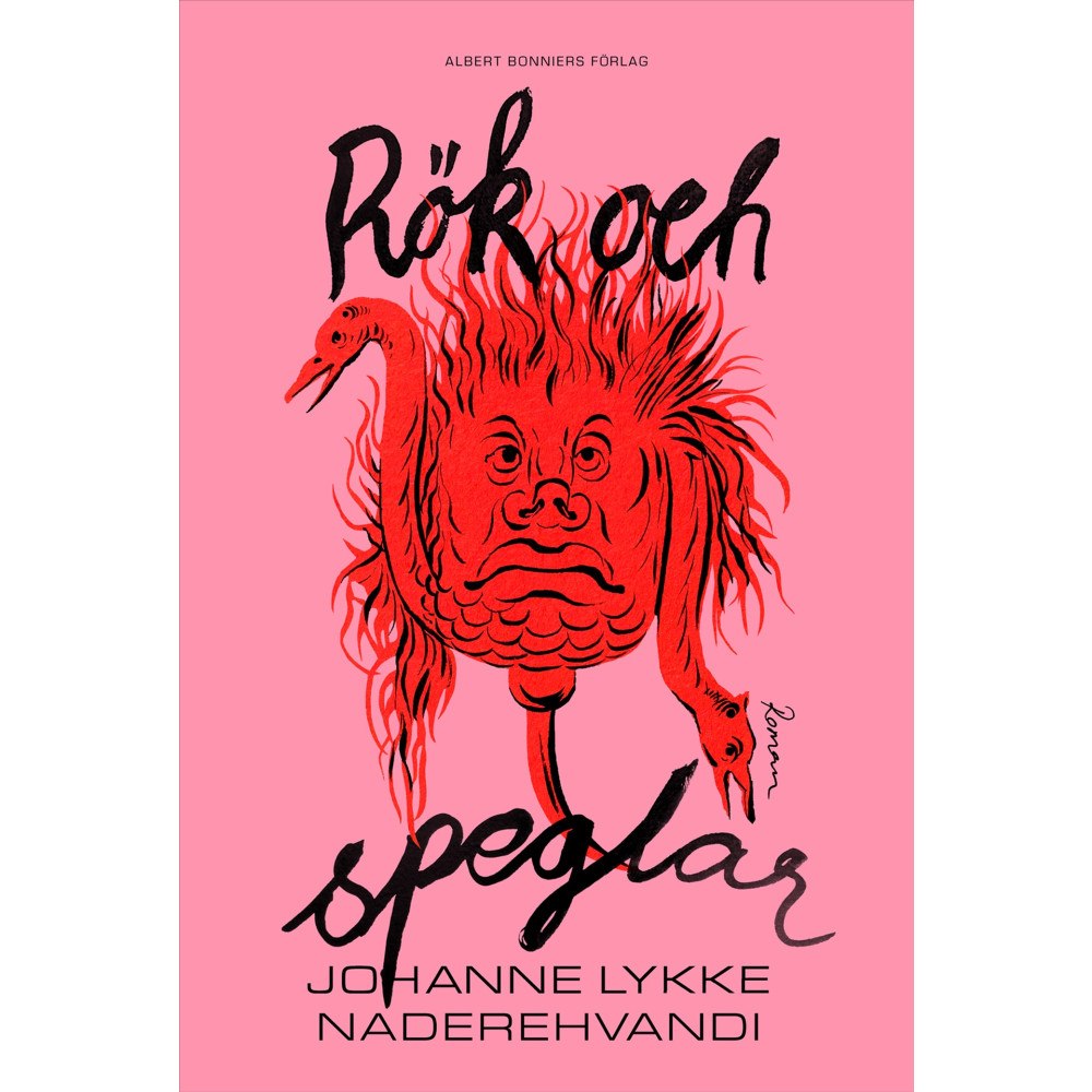 Johanne Lykke Naderehvandi Rök och speglar (inbunden)