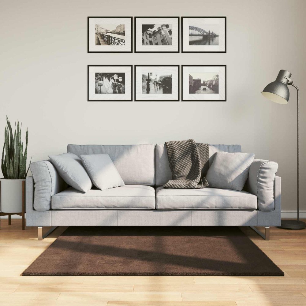 vidaXL Områdesmattor Fyrkantig HUARTE Brun 120 x 120 cm Polyester