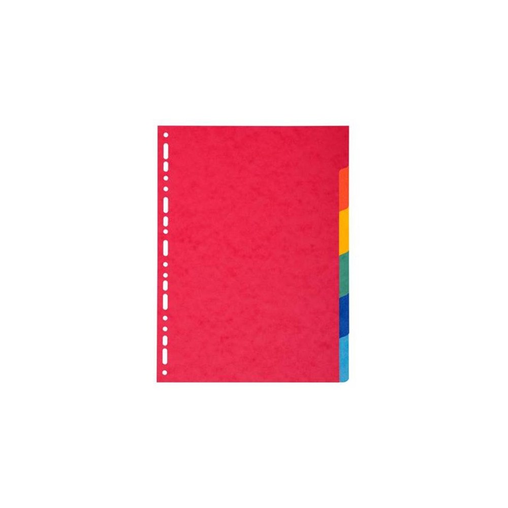 EXACOMPTA Kartongregister EXACOMPT A4 6-flik f.fär