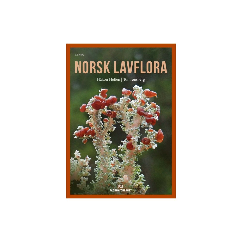 Fagbokforlaget Norsk lavflora (häftad, nor)