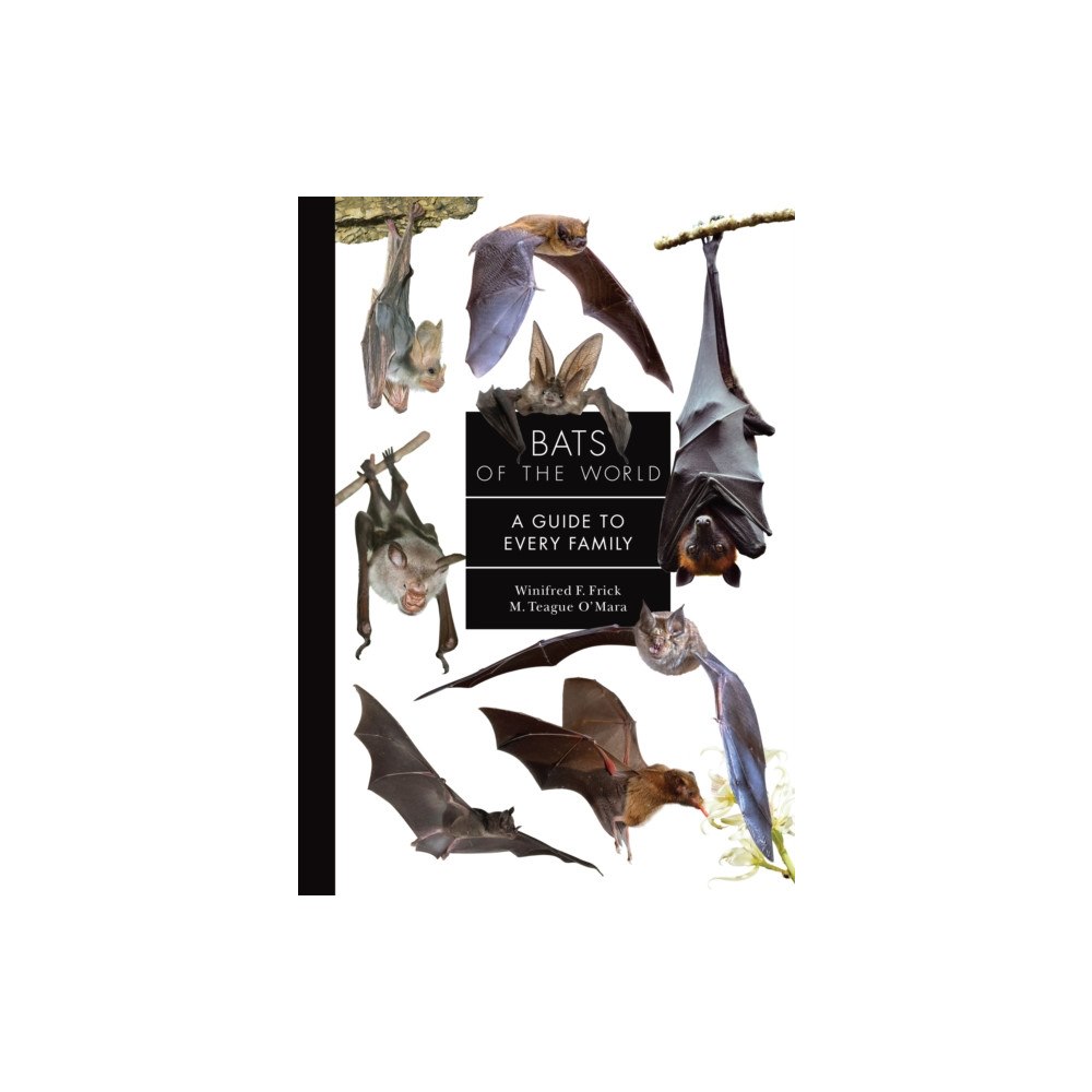 Princeton University Press Bats of the World (inbunden, eng)