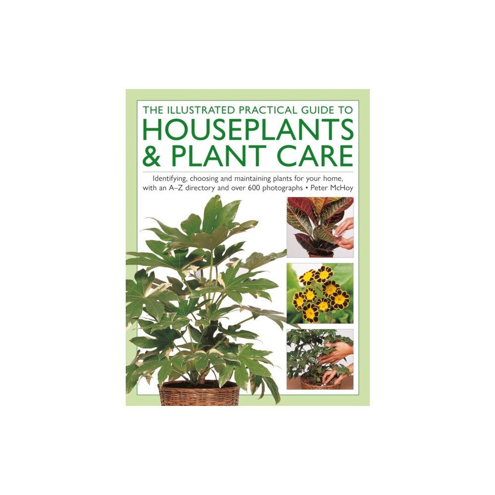 Anness publishing The Illustrated Practical Guide to Houseplants & Plant Care (inbunden, eng)