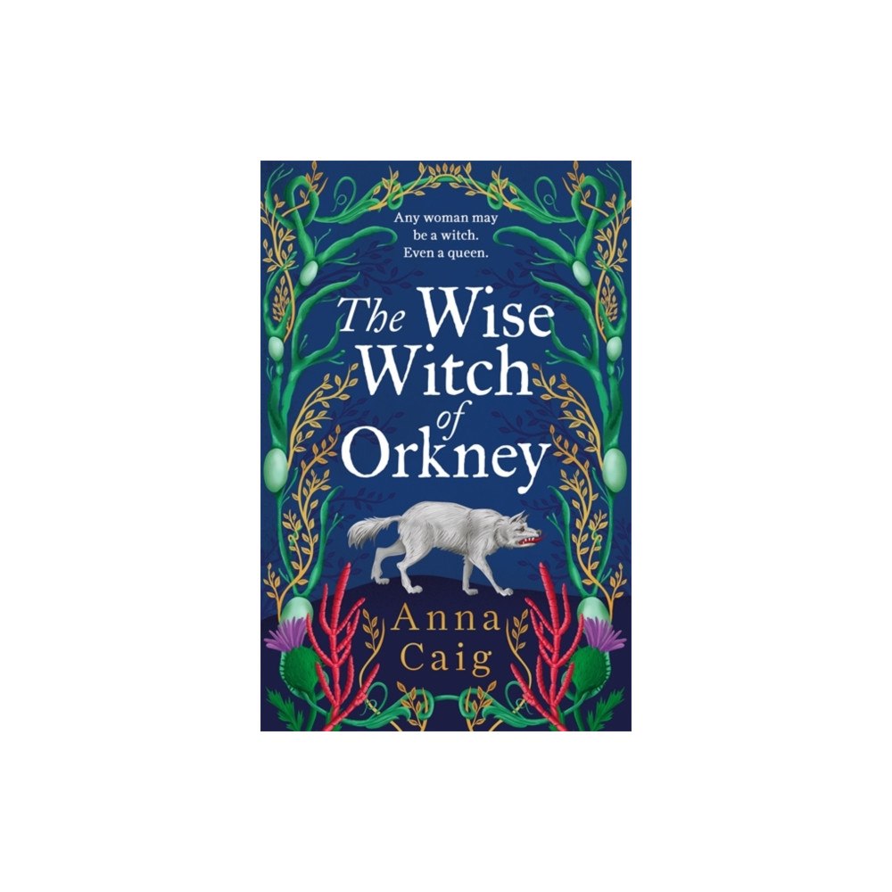Bonnier Books Ltd The Wise Witch of Orkney (inbunden, eng)