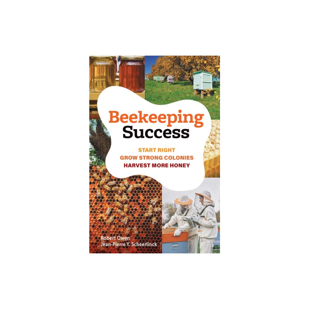 Exisle Publishing Beekeeping Success (bok, eng)