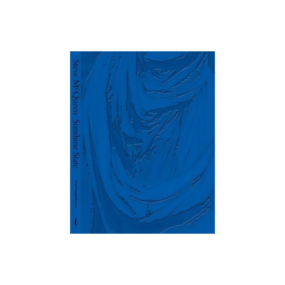 Distributed Art Publishers STEVE MCQUEEN DEPARTURE (häftad, eng)