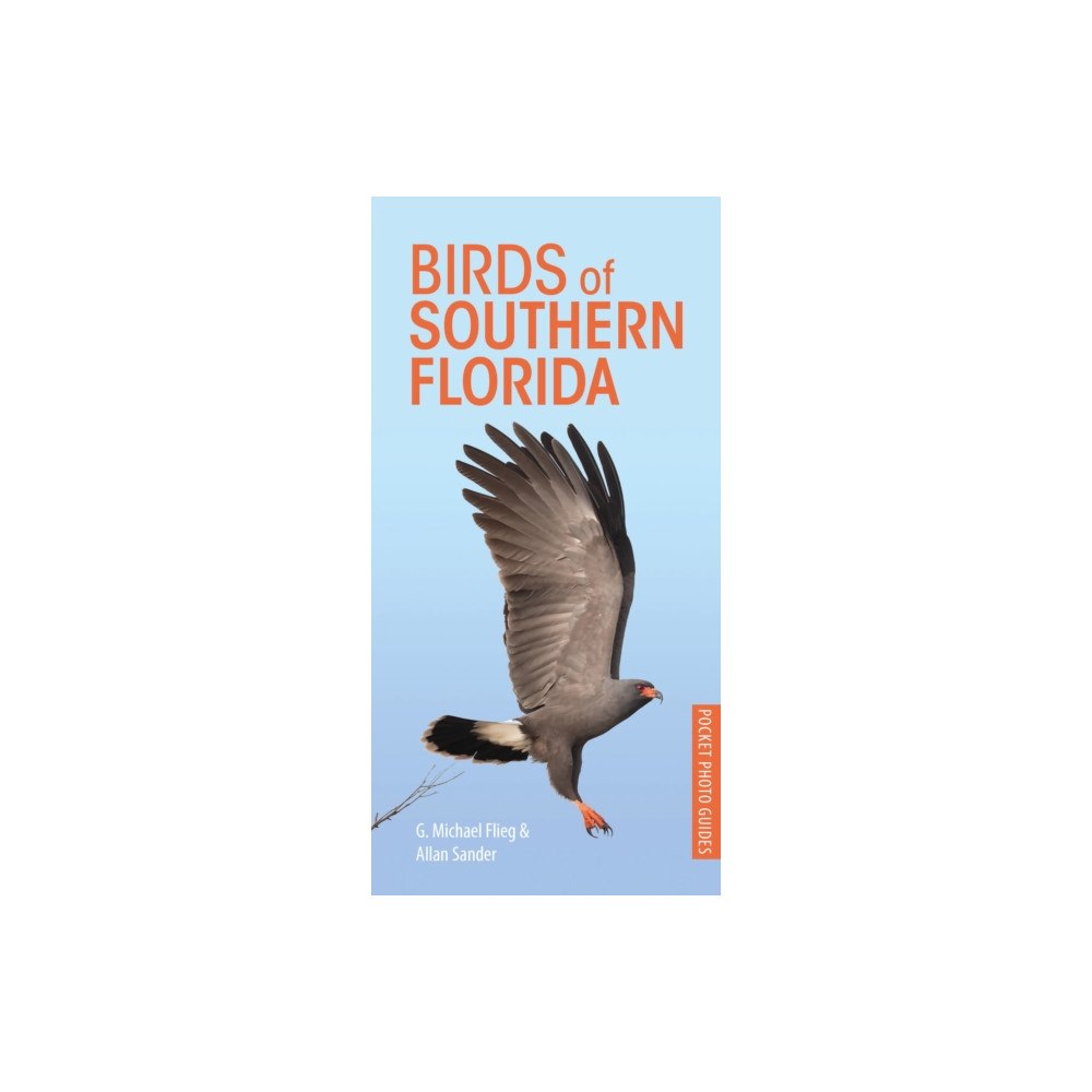 Bloomsbury Publishing PLC Birds of Southern Florida (häftad, eng)