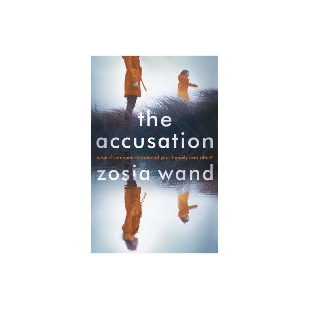 Head of Zeus The Accusation (inbunden, eng)