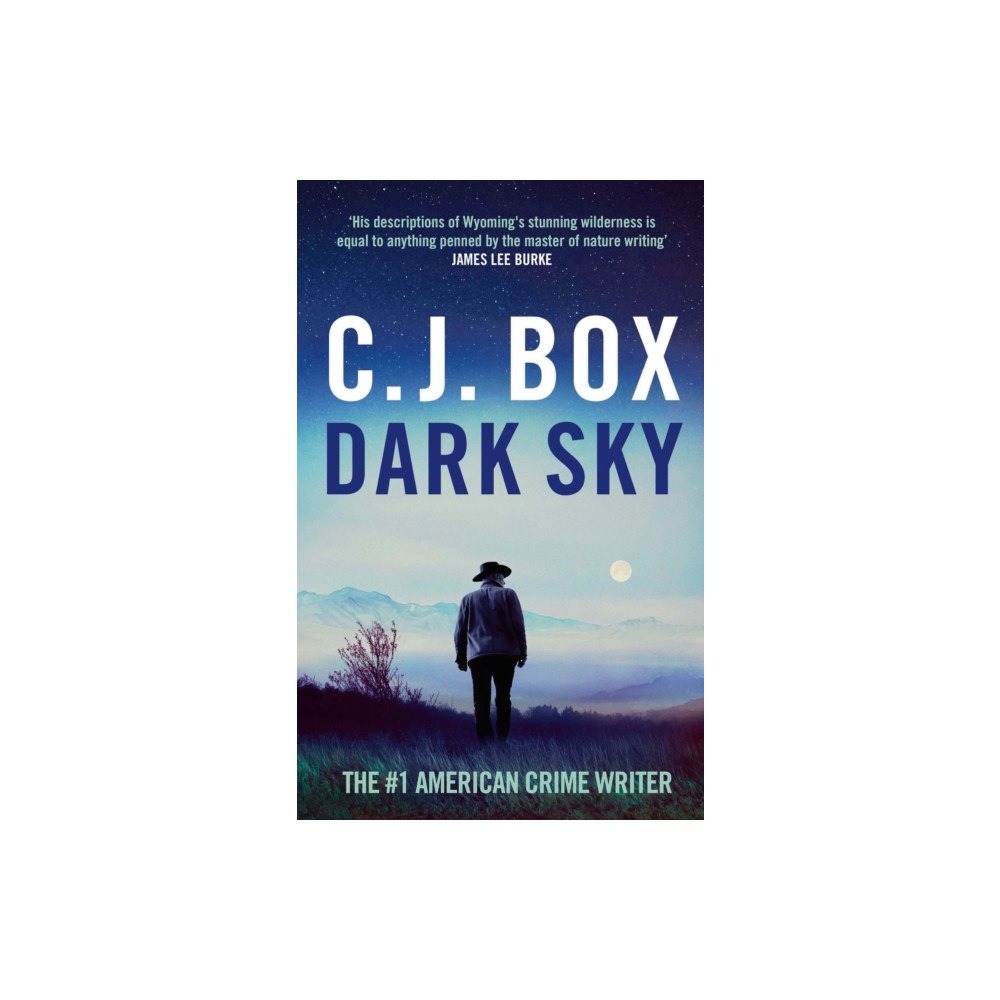 Bloomsbury Publishing PLC Dark Sky (inbunden, eng)