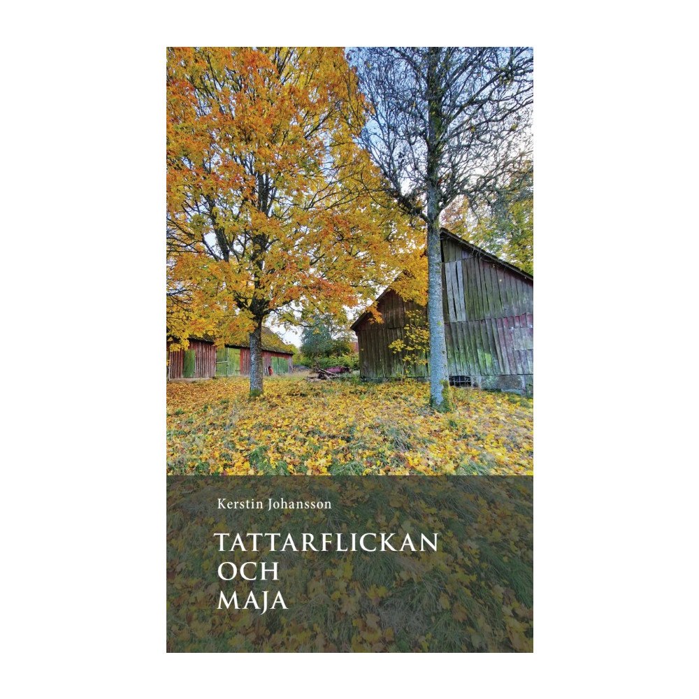 Kerstin Johansson Tattarflickan och Maja (pocket)