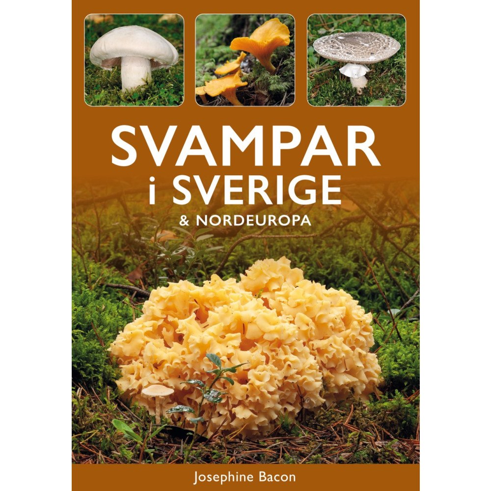 Tukan Förlag Svampar i Sverige och Nordeuropa (häftad)