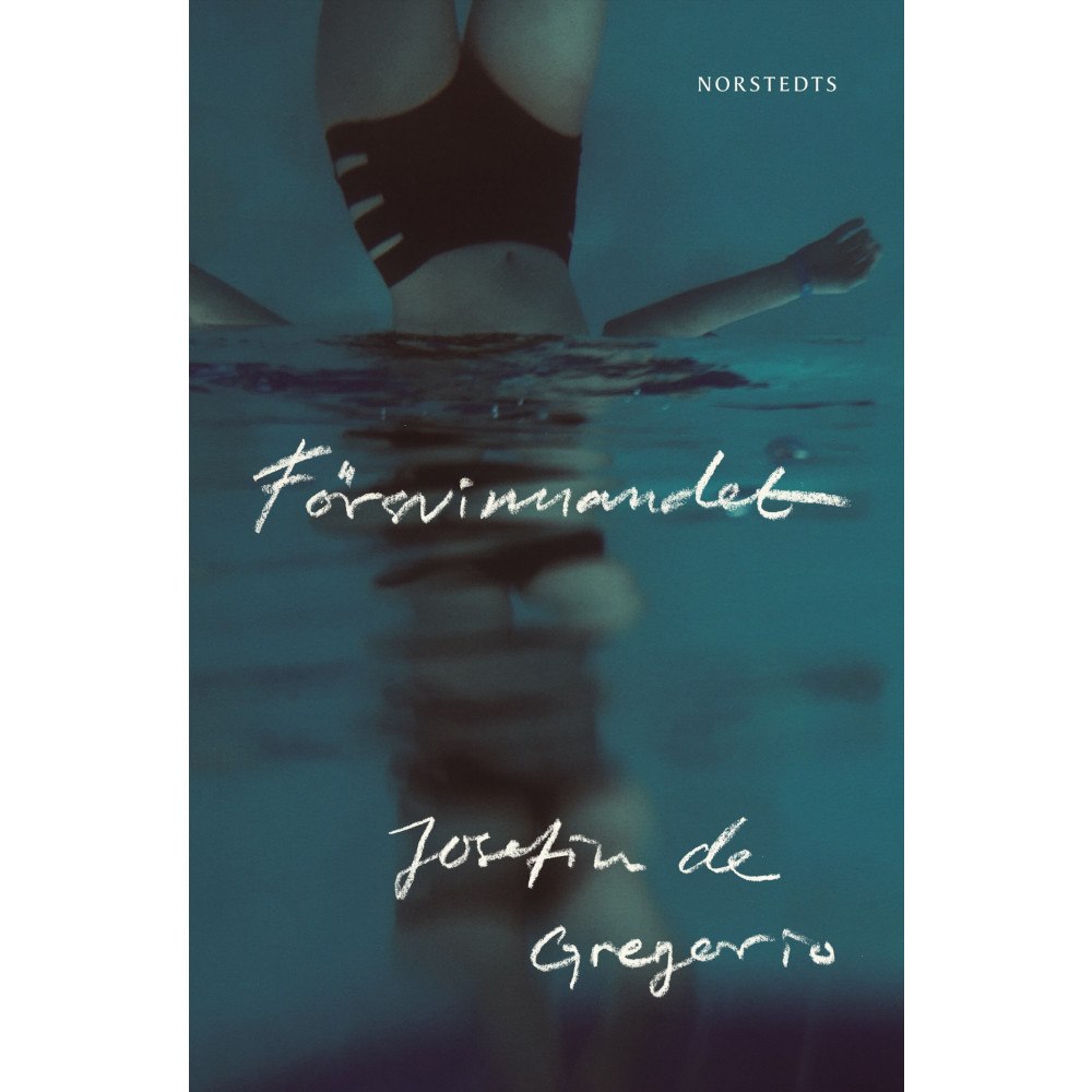 Josefin de Gregorio Försvinnandet (inbunden)