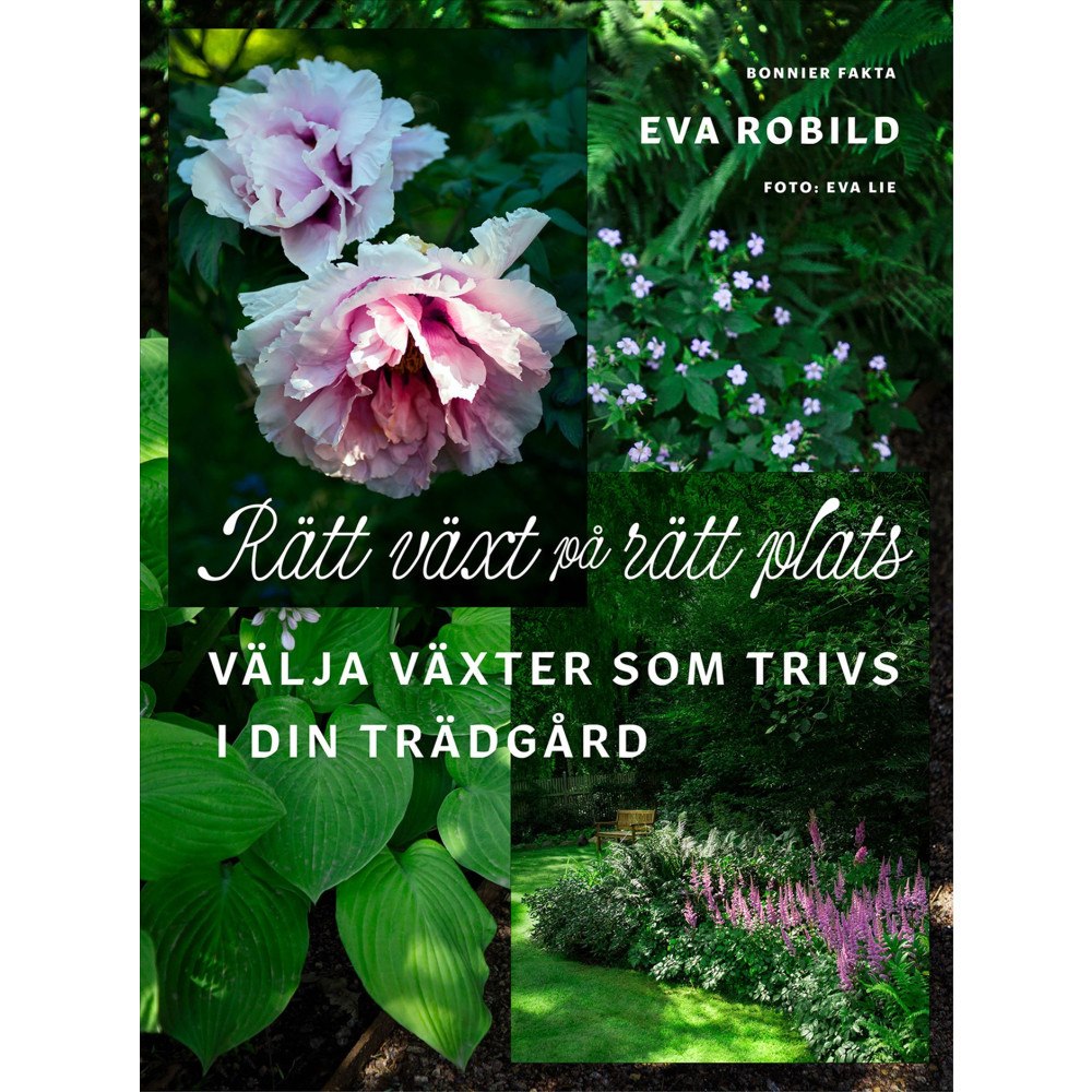 Eva Robild Rätt växt på rätt plats : välja växter som trivs i din trädgård (inbunden) (Skadad)