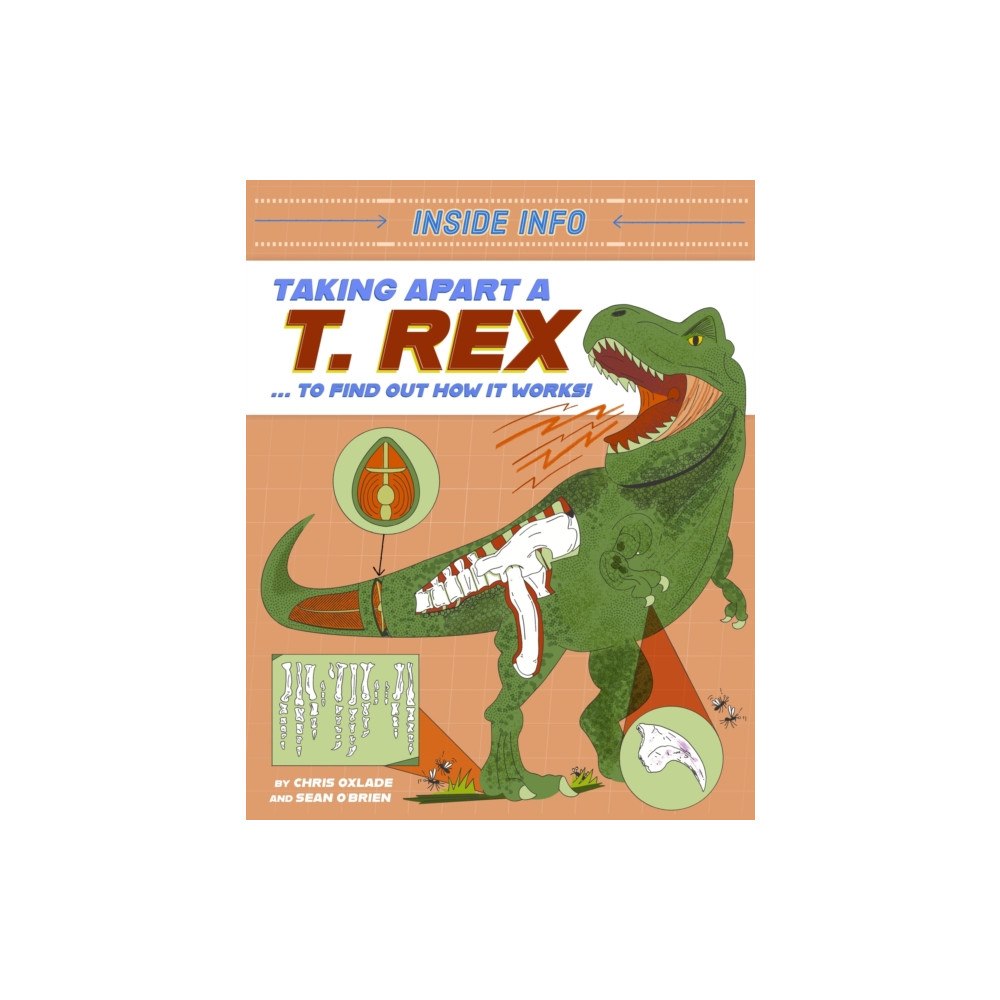 Hachette Children's Group Inside Info: Taking Apart a T. rex (häftad, eng)