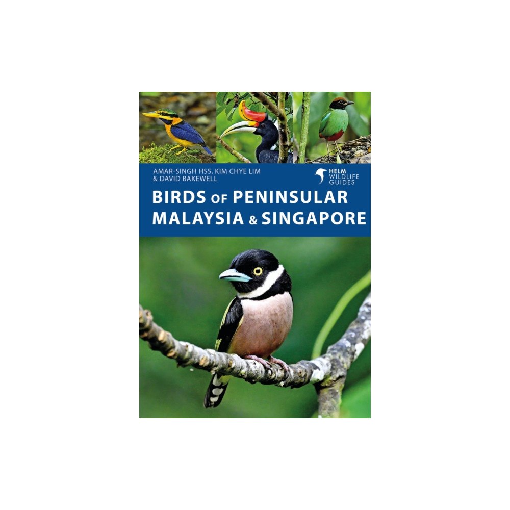 Bloomsbury Publishing PLC Birds of Peninsular Malaysia and Singapore (häftad, eng)