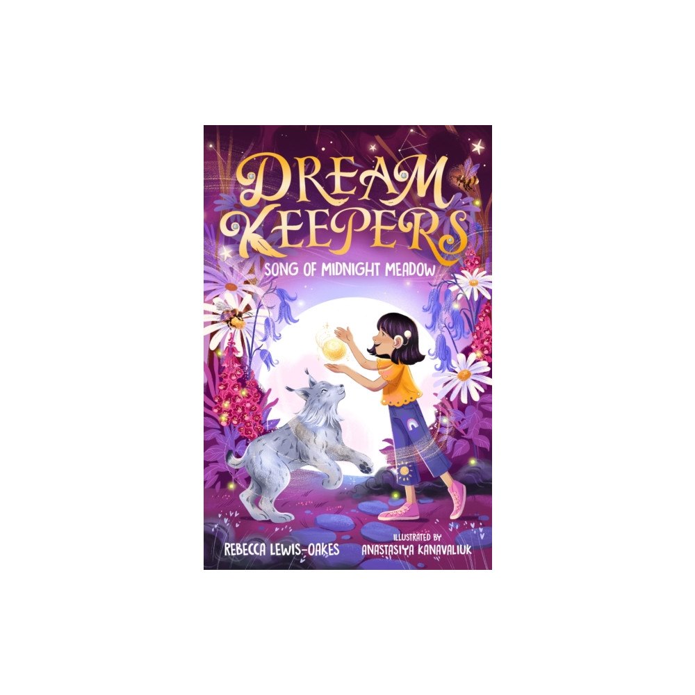 Templar Books Dream Keepers: Song of Midnight Meadow (häftad, eng)