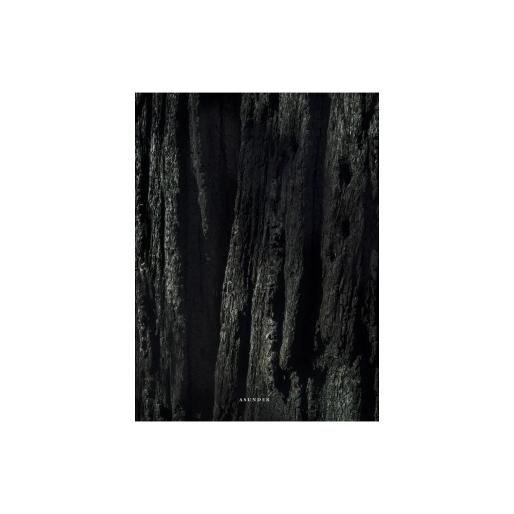 TBW Books Asunder (häftad, eng)