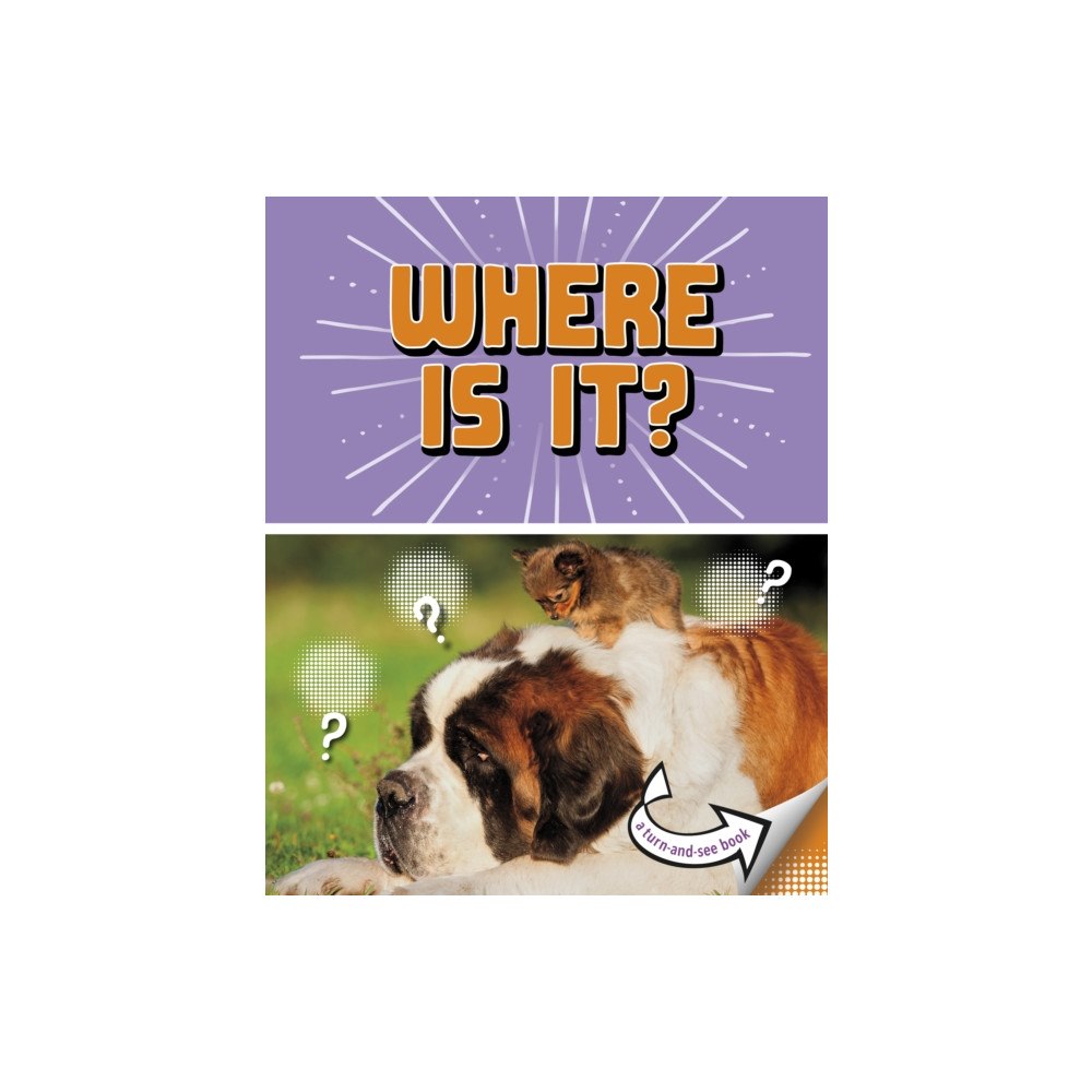 Capstone Global Library Ltd Where Is It? (inbunden, eng)