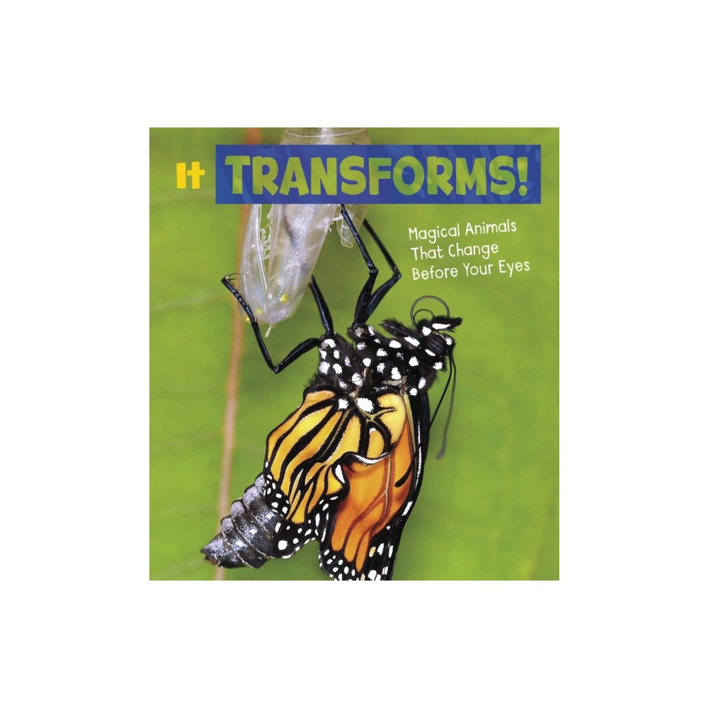 Capstone Global Library Ltd It Transforms! (inbunden, eng)