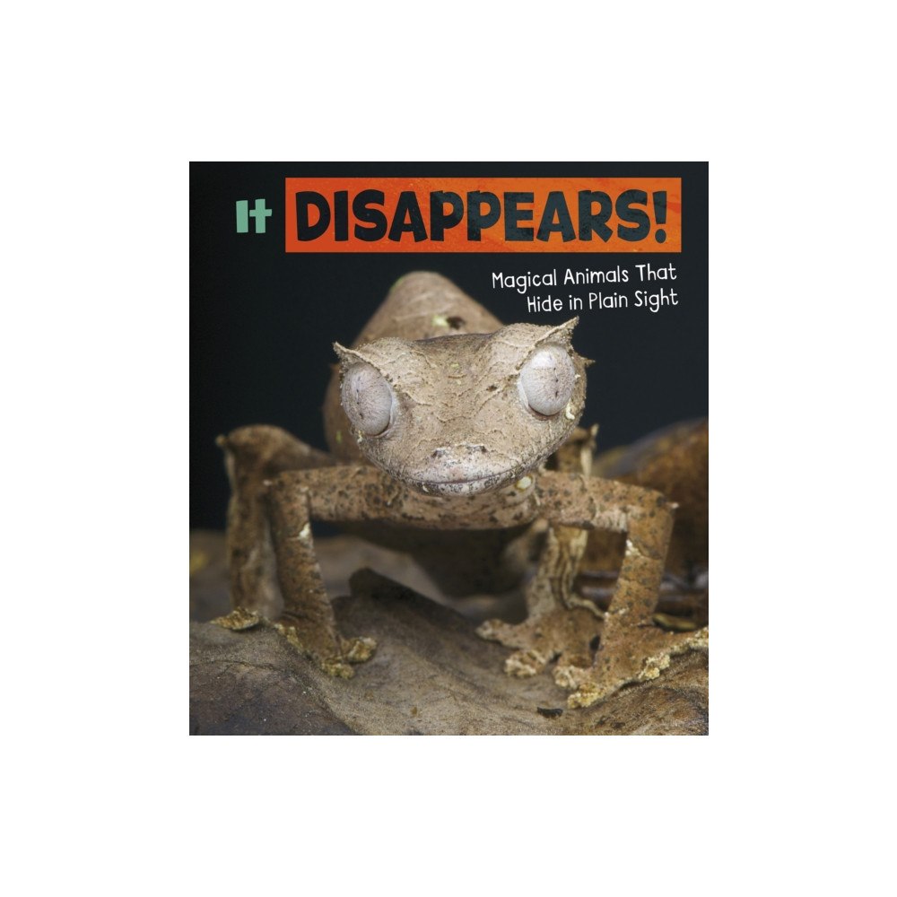 Capstone Global Library Ltd It Disappears! (inbunden, eng)