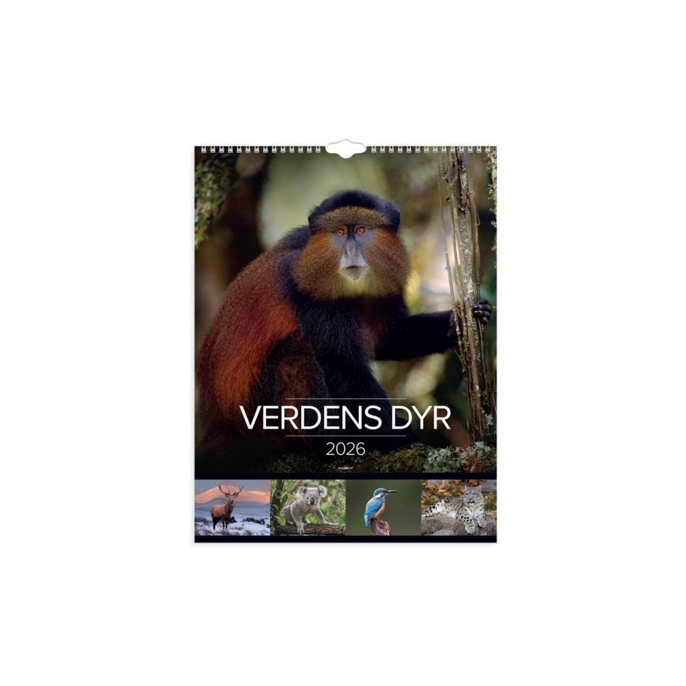 Mayland-Burde Mayland 26066330, Vägg, 24 sidor, Multifärg, Månad, 12 månad...