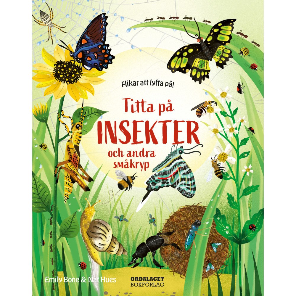 Emily Bone Titta på insekter och andra småkryp (bok, board book)