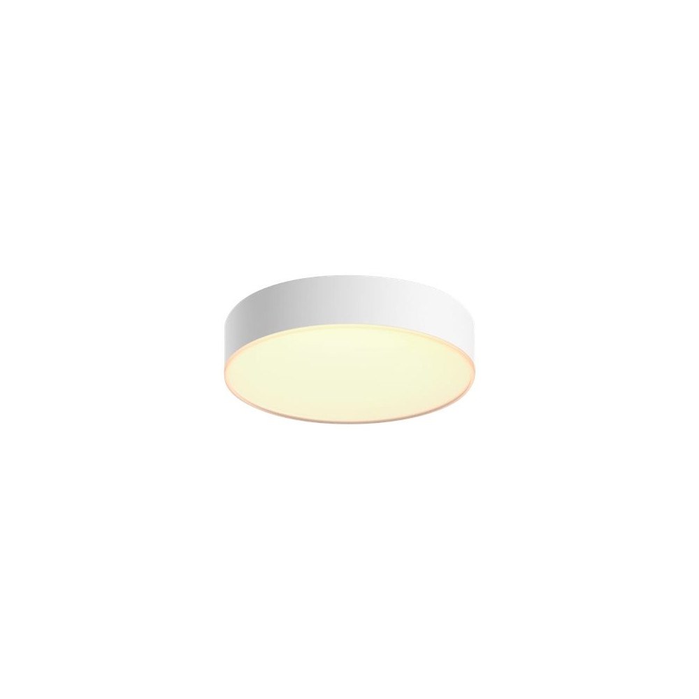 Philips Philips Hue White ambiance Enrave Small