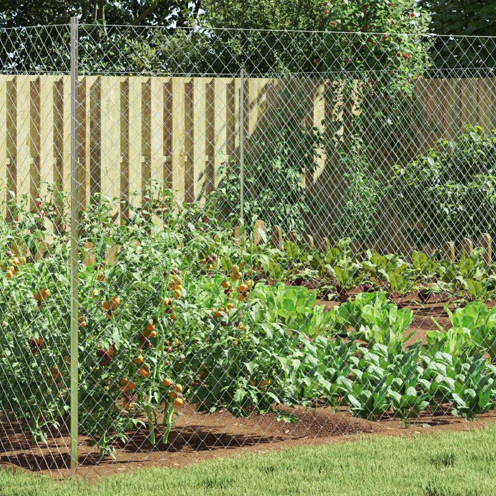 vidaXL Kedjelänk Stängsel Galvaniserad 2 x 20 m Glas