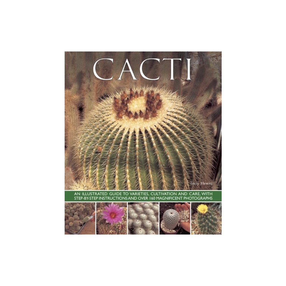 Anness publishing Cacti (häftad, eng)