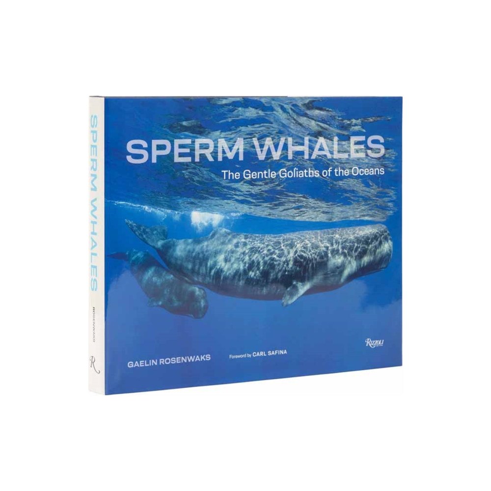 Rizzoli International Publications Sperm Whales (inbunden, eng)
