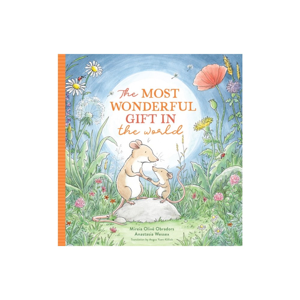 Red Comet Press LLC The Most Wonderful Gift in the World (inbunden, eng)