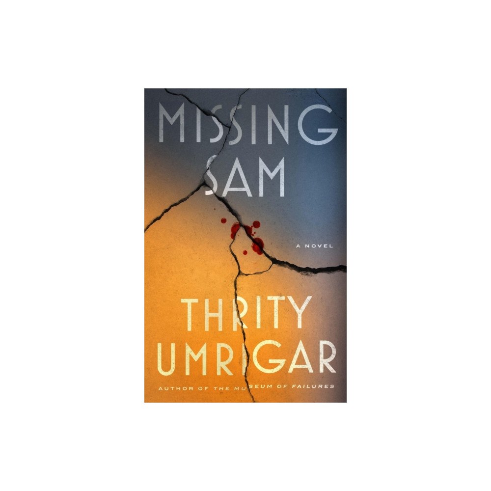 Workman Publishing Missing Sam (inbunden, eng)