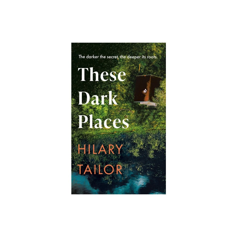 Amazon Publishing These Dark Places (häftad, eng)