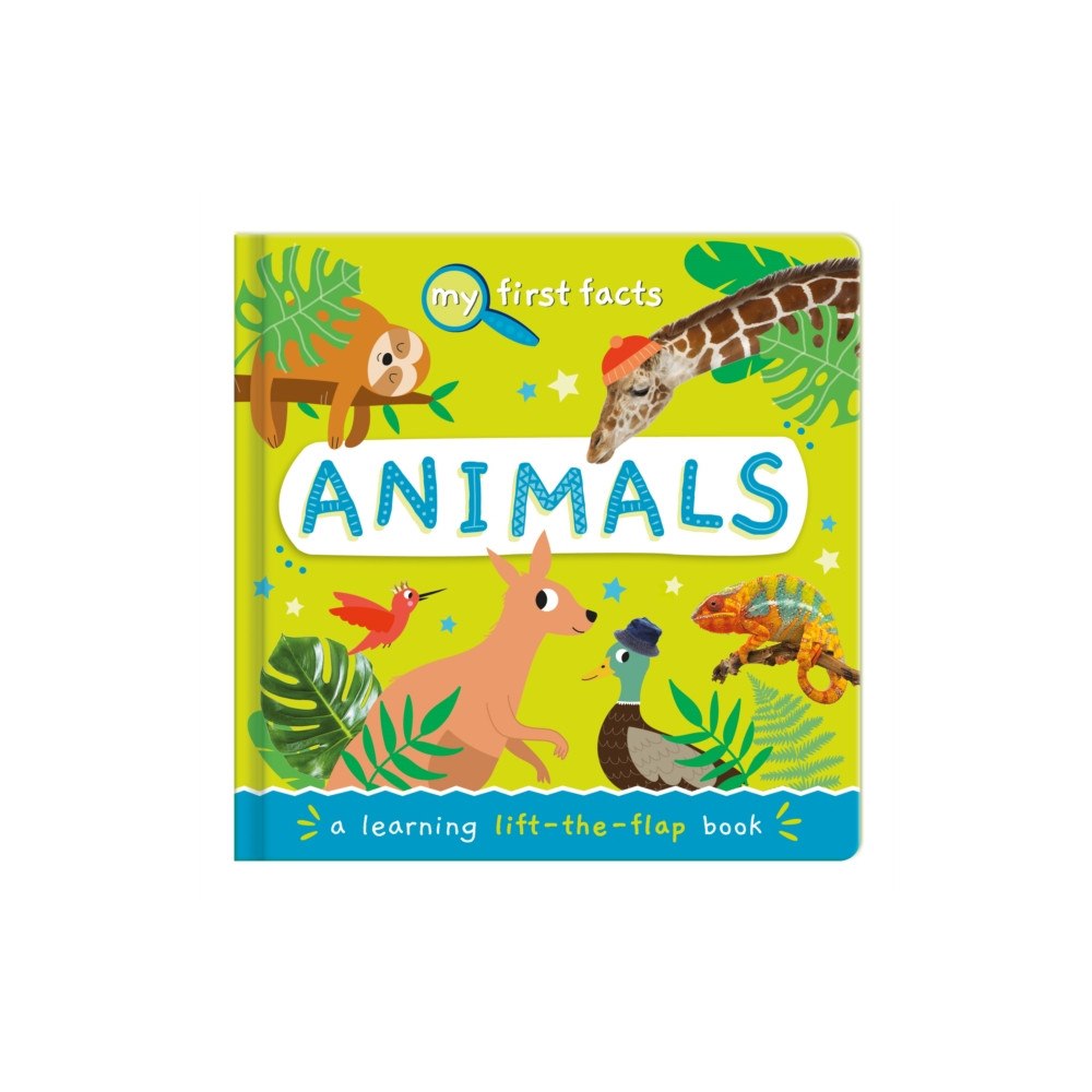 North Parade Publishing Animals (bok, board book, eng)