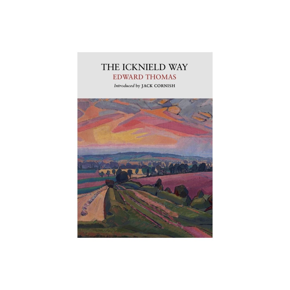 Little Toller Books The Icknield Way (häftad, eng)