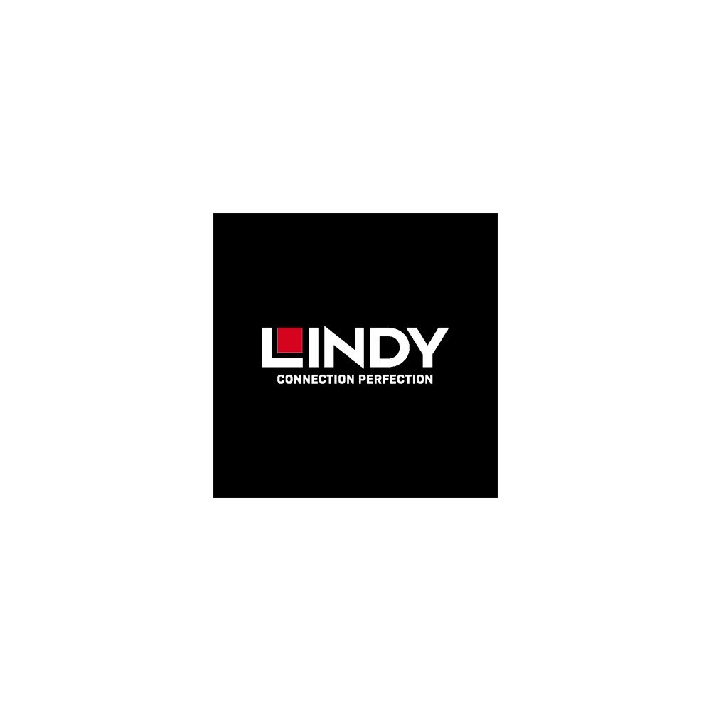 Lindy Lindy videoomvandlare - USB-C